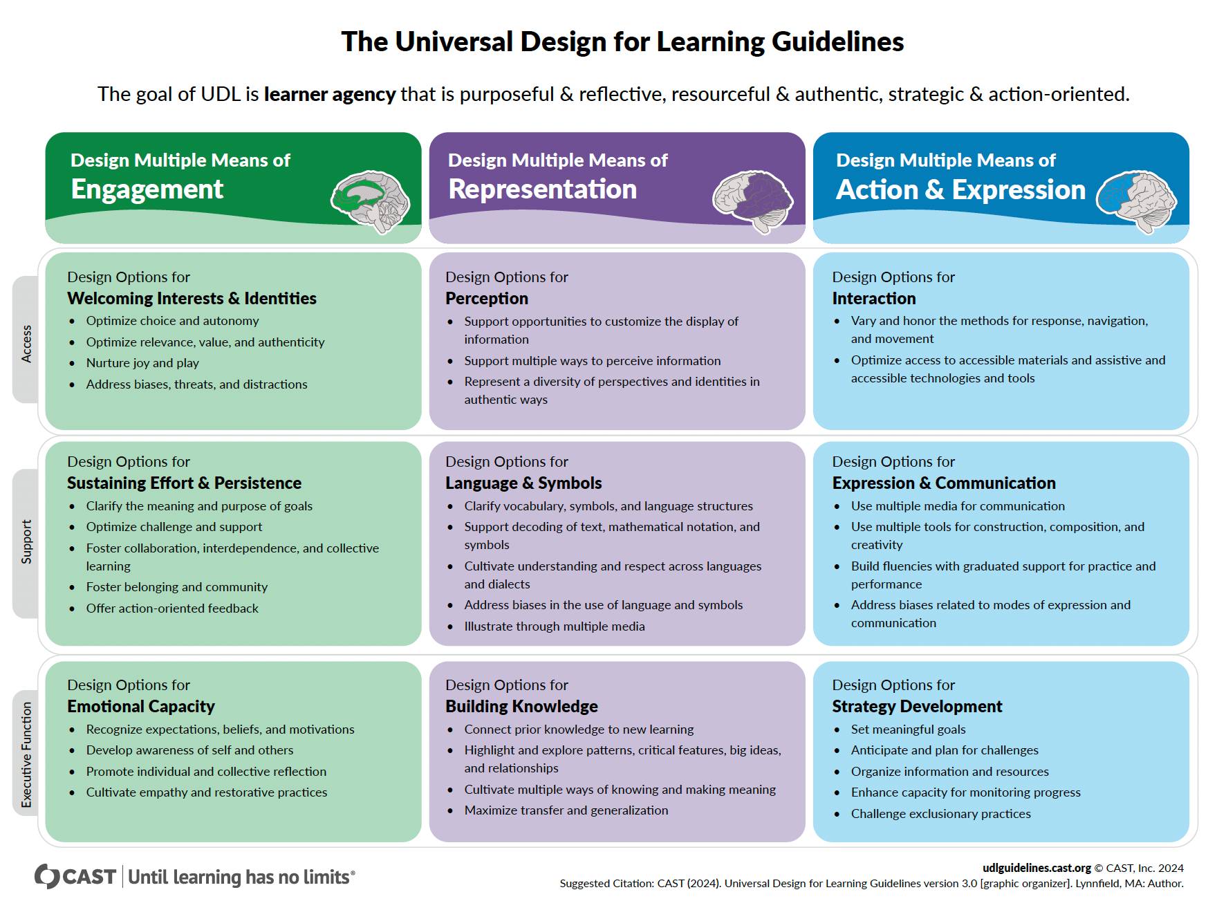 Table showing the Universal Design for Learning Guidelines